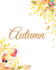 Watercolor illustration.