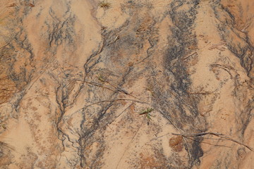 Tsingi rouge nationalpark auf madagaskar in afrika