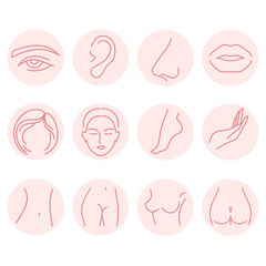 Set of body parts icons. Illustrations for spa and beauty salon, plastic surgery.