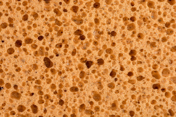 sponge detail texture, sponge texture closeup background, yellow sponge texture