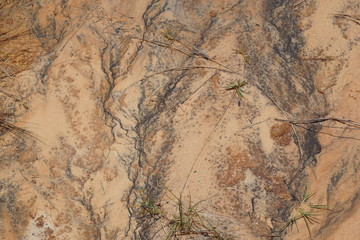Tsingi rouge nationalpark auf madagaskar in afrika