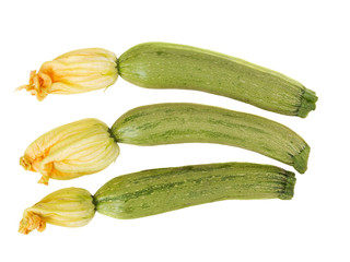 Small Zucchini with flowers isolated on white background.