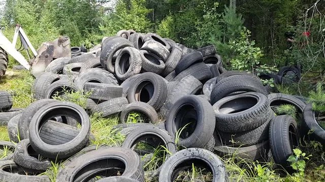 A huge dump of old tires in the woods. Illegal dumping of used tires. Environmental pollution. Garbage collection tractor