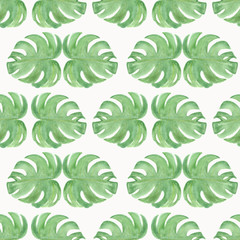 .Watercolor illustration. Tropical plant pattern