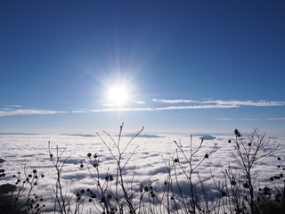 winter landscape with trees and clouds