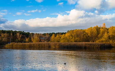 Bank of the Moscow River along the reserve in autumn