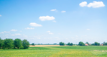 Dutch country view looking to a meadow