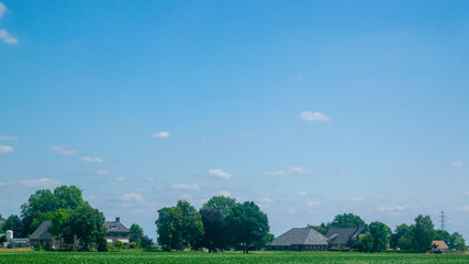 Fototapeta na wymiar Dutch country view looking to a meadow