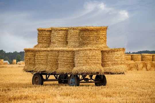 Przyczepa ciągnika z okrągłymi balami siana