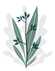 Flowers and leaves composition isolated on white background. Vector illustration. Design for flyer, banner, cover. 