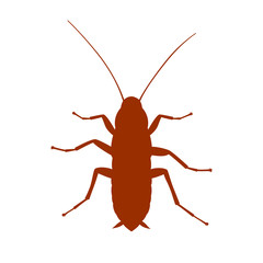 Cockroach graphic sign. Cockroach silhouette close up isolated on white background. Vector illustration