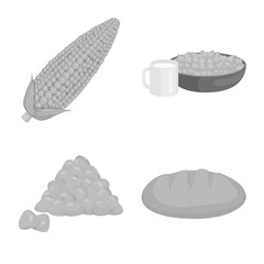 Vector design of agriculture and nutrition sign. Set of agriculture and vegetable stock vector illustration.