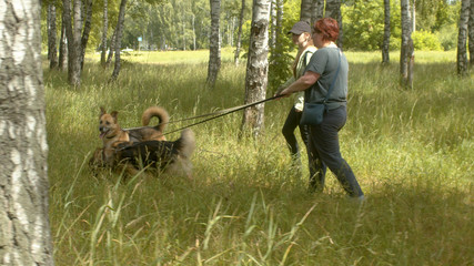 Two women volunteers walking with the dogs
