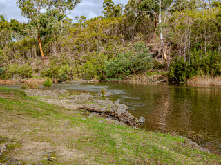 Yarra Downstream