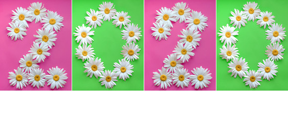 Inscription 2020 from fresh daisies on a colored background. 0, 2, arabic numeral. Happy New Year 2020. Large daisies create a number 2 and 0