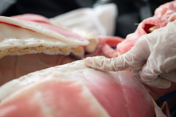 Study anatomy Human and Histological sample of Human model in the laboratory.