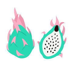 Dragon fruit isolated on white background. Tropical vector illustration.