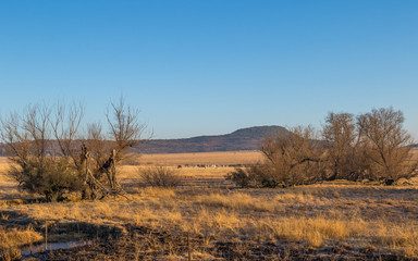 Winter farm landscape in the kwaZulu-Natal Midlands region of South Africa image with copy space