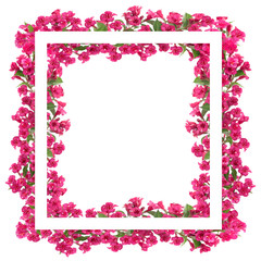 Composite image of beautiful blooming red flowers advertisement frame or banner isolated on a white background with copy space.