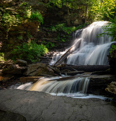 Logs in the Waterfalls