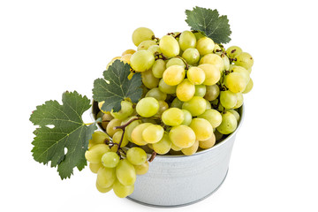 Fresh ripe white grapes with leaves in tin bowl isolated on a white