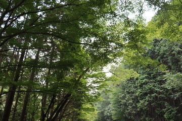愛知　風景