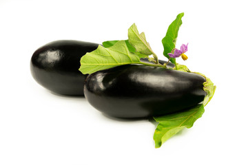 Aubergine eggplant isolated on white. Eggplant Clipping Path. Quality photo for your project.