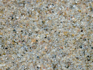 Macro shot close-up sand on beach