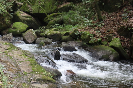 愛知　風景