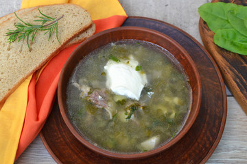 Gourmet food. Traditional russian Sorrel soup with sour cream and hard boiled egg.