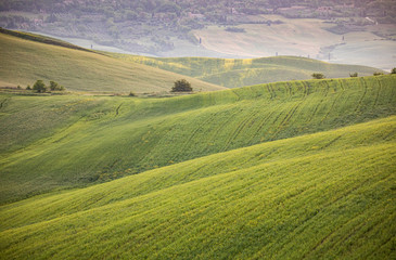 Fototapeta na wymiar Tuscan landscape near Pienza, Tuscany, Italy