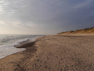 Fototapeta na wymiar Sandstrand an der dänischen Nordseeküste