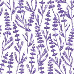Elegant seamless pattern with lavender flowers hand drawn on white background © Good Studio