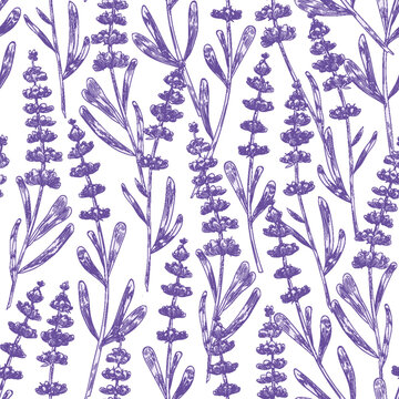 Elegant seamless pattern with lavender flowers hand drawn on white background