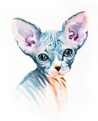 realistic painting, drawing on a T-shirt watercolor portrait of a sphinx cat
