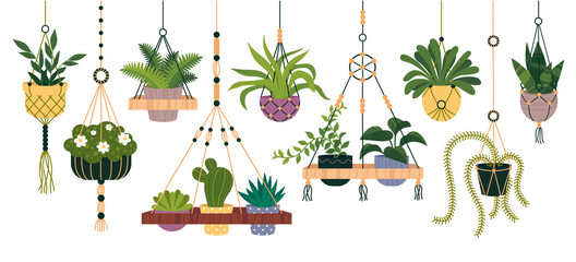 Plants in hanging pots set, flowerpot indoor element
