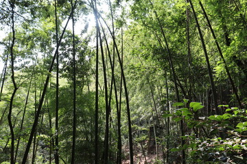 愛知　風景