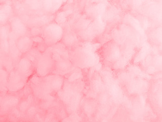 Fototapeta premium Coral color background. Abstract background. Copy space. 