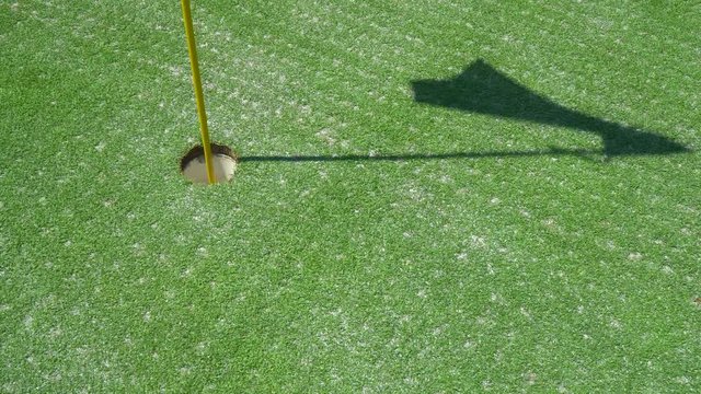 golf course, Cyprus, olive trees, green pastures, strong wind, hole close up