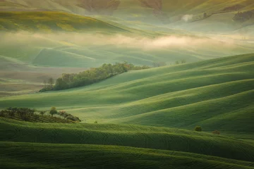 Wandcirkels Toscane Fantastic sunny spring field in Italy, tuscany landscape morning foggy famous Cypress trees  © PawelUchorczak