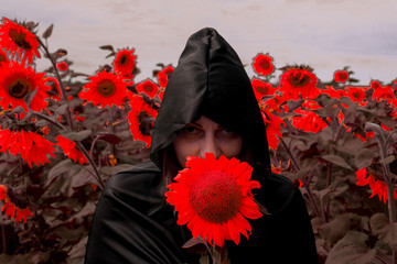 The girl in a black cloak of death against the background of red sunflowers. Concept halloween