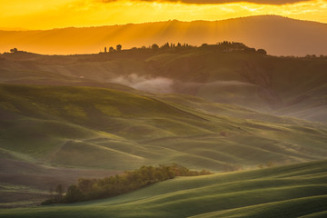 Fototapeta premium Fantastic sunny spring field in Italy, tuscany landscape morning foggy famous Cypress trees
