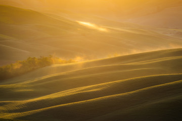Fantastic sunny spring field in Italy, tuscany landscape morning foggy famous Cypress trees