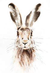 Easter bunnies watercolor illustration, rabbit portrait isolated © Tatyana