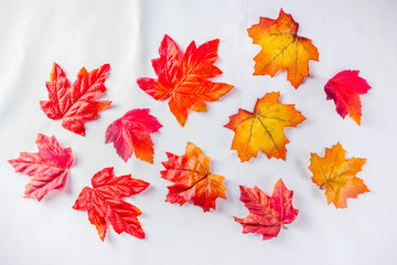 Simple autumn red yellow orange leaves pattern, flatlay top view