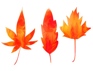 Maple leaves, painted silhouettes of red and orange leaf. Autumn graphic element for stationery, banners and back to school design.