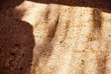sand in focus