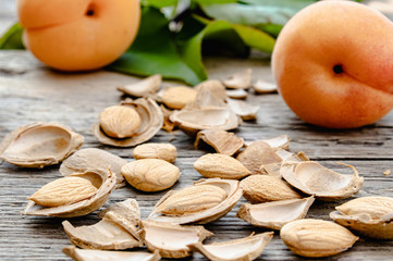 Apricots near pits and apricot pits on the background of old boards. Apricot pits for the...