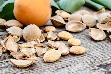 Medicinal apricot pits and fresh organic apricots on the background of old boards. Apricot pits for the manufacture of tablets and drugs.