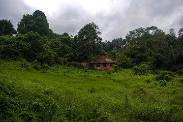 Fototapeta na wymiar Hidden cottage in Ubud